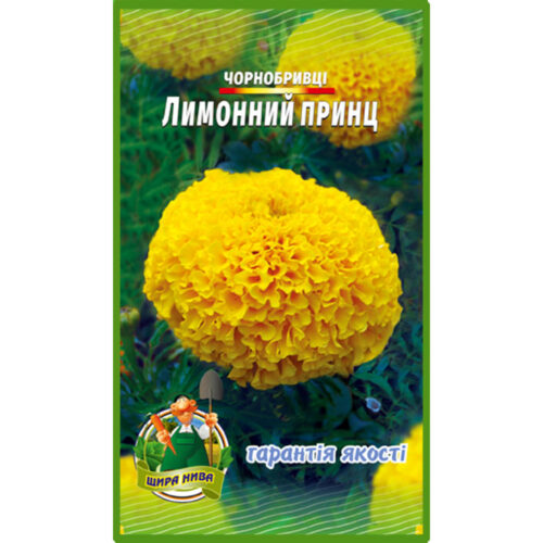 чорнобривці-лимонний-принц-щира-нива
