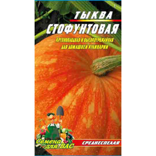 Гарбуз-Стофунтовий