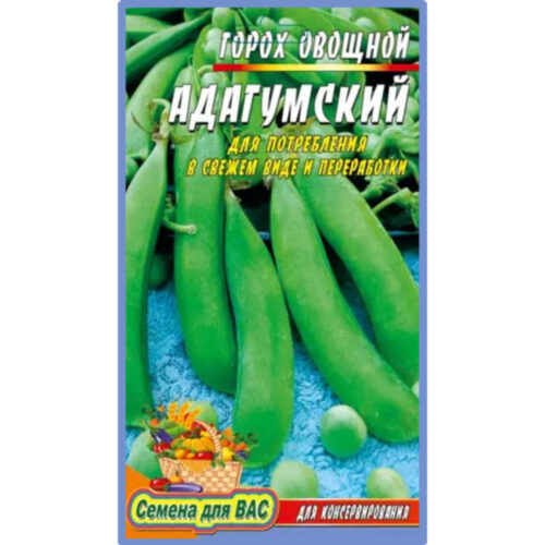 горох-адагумский-наша-грядка