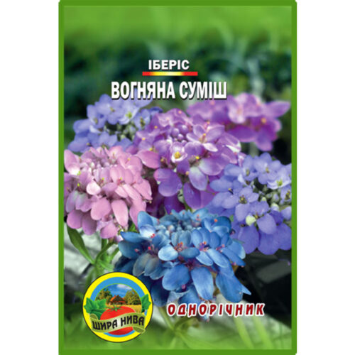 іберіс-вогняна-сумш-щира-нива