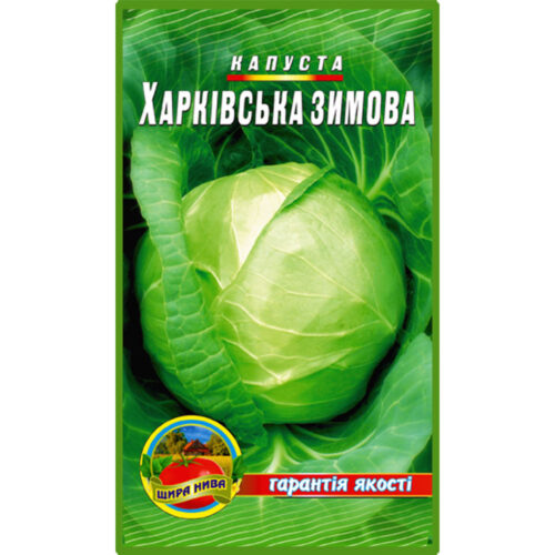 капуста-харківська-зимова-щира-нива