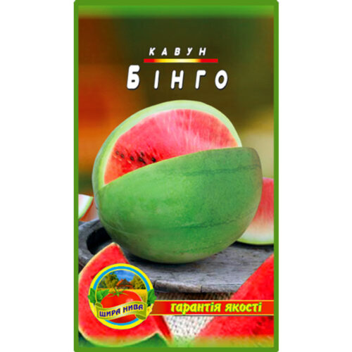 кавун-бінго-щира-нива