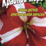 Новые сорта петунии