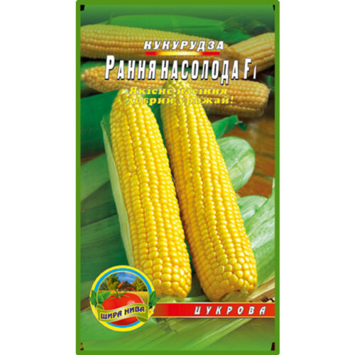 кукурудза-рання-насолода-щира-нива