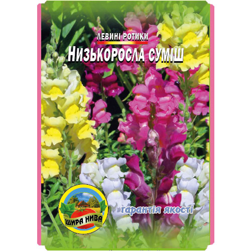 левині-ротики-низькоросла-суміш