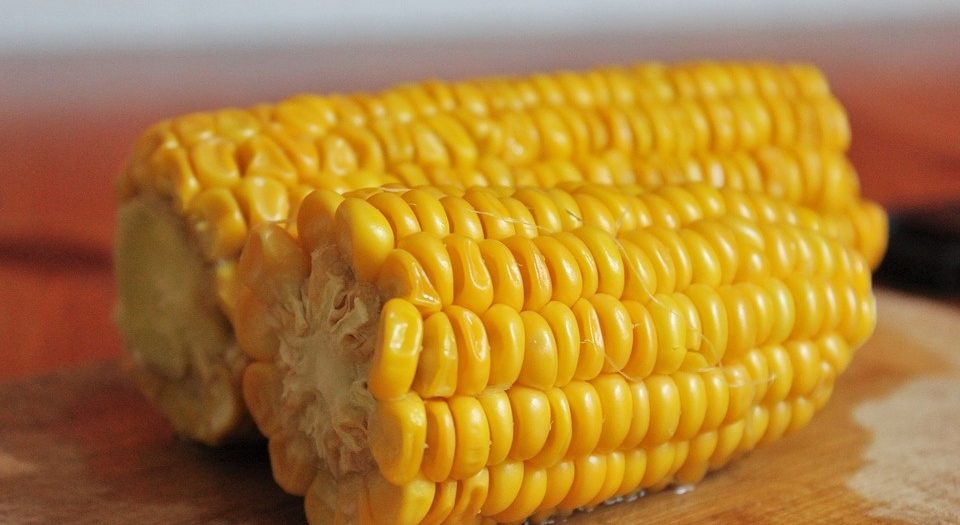 Лучшие Сахарные сорта кукурузы