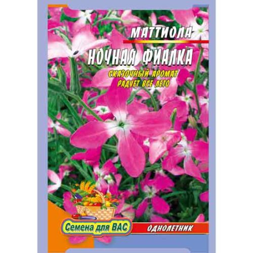 маттиола-ночная-фиалка