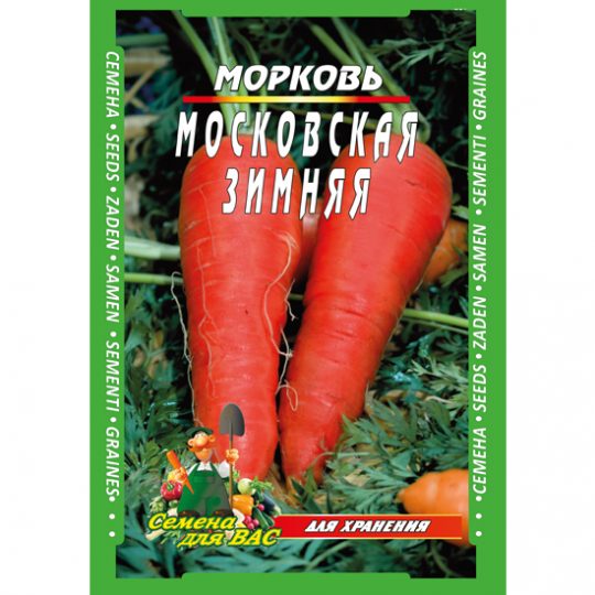 морковь-московская-зимняя
