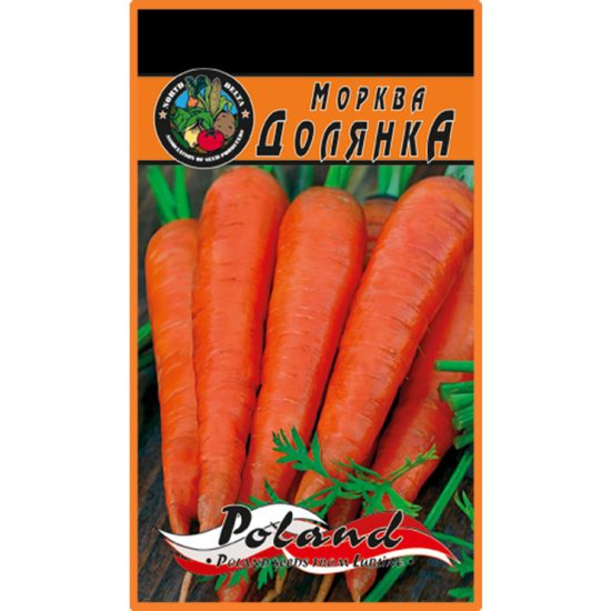 морква-долянка-щира-нива