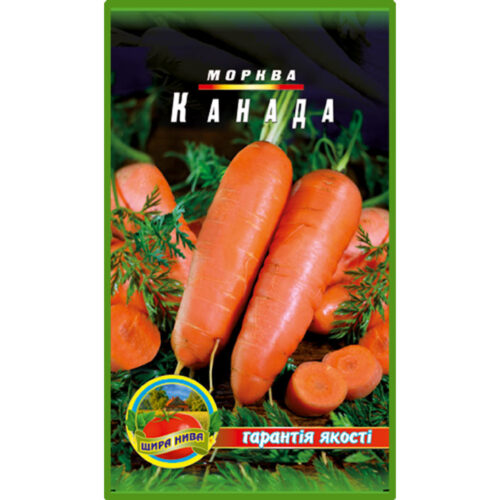 морква-канада-щира-нива