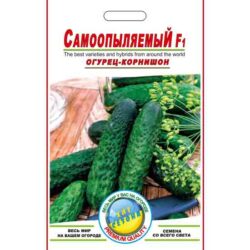 Огірок-Самозапильний