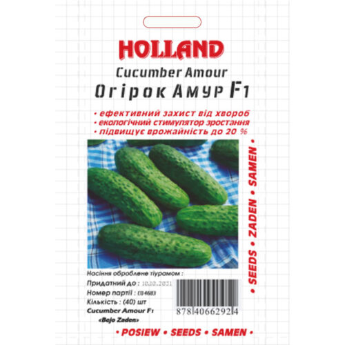 огірок-амур-f1-holland