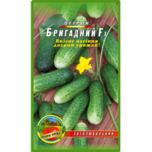 огірок-бригадний-щира-нива