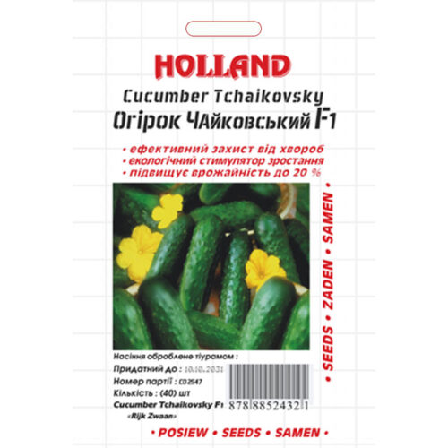 огірок-чайковський-f1-holland
