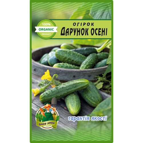 огірок-дарунок-осені-щира-нива