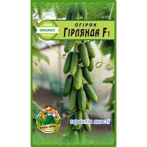огірок-гірлянда-щира-нива