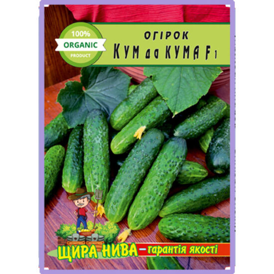 огірок-кум-да-кума-щира-нива