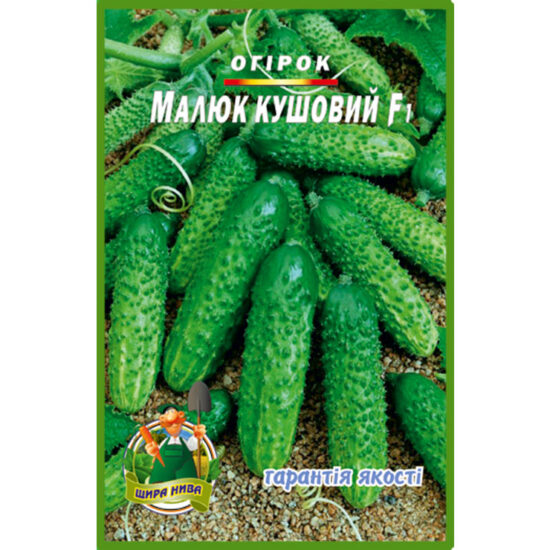 огірок-малюк-кущовий-щира-нива