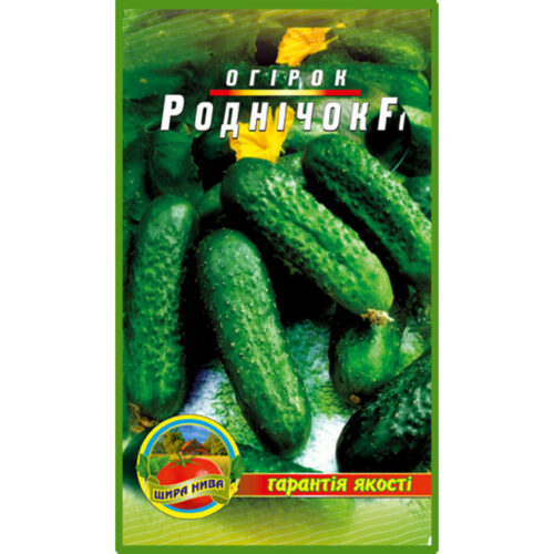 огірок-роднічок-щира-нива