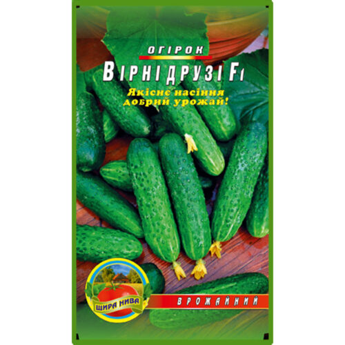 огірок-вірні-друзі-щира-нива
