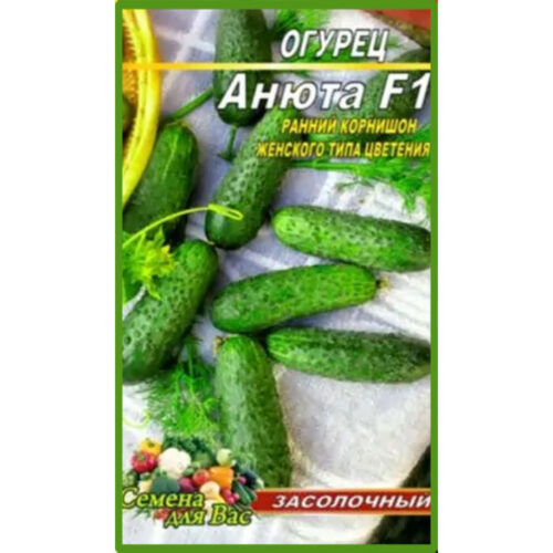 огурец-анюта