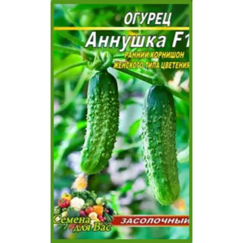 огурец-аннушка
