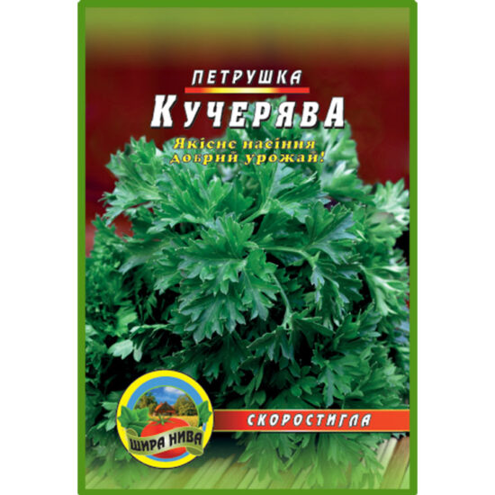 петрушка-кучерява-щира-нива