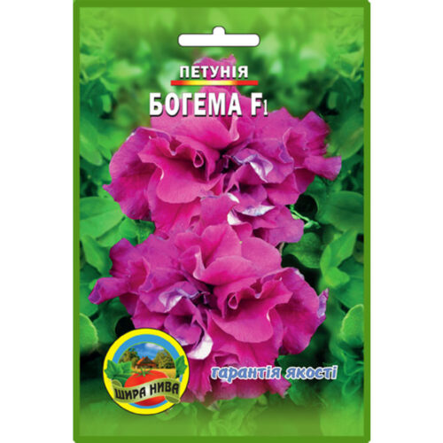 петунія-богема-щира-нива