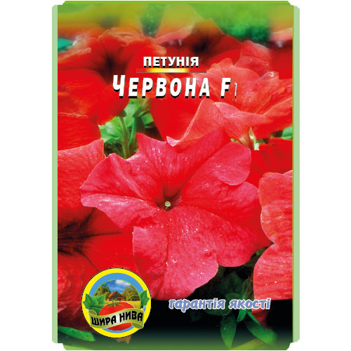 петунія-червона
