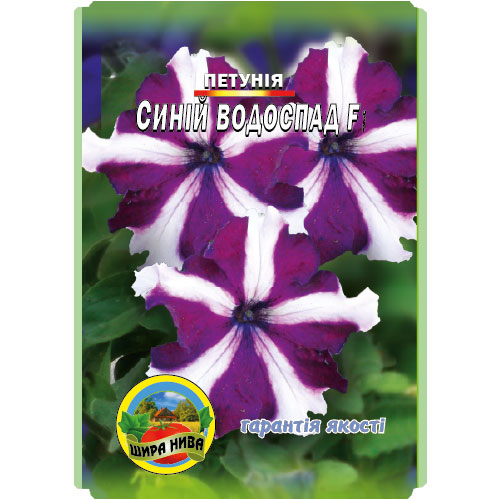 петунія-синій-водоспад
