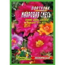 портулак-махровая-смесь