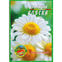 ромашка-аляска