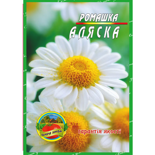 ромашка-аляска