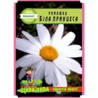 ромашка-біла-принцеса