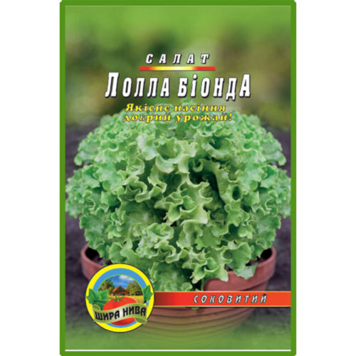 салат-лолла-біонда-щира-нива