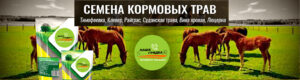 семена-кормовых-трав