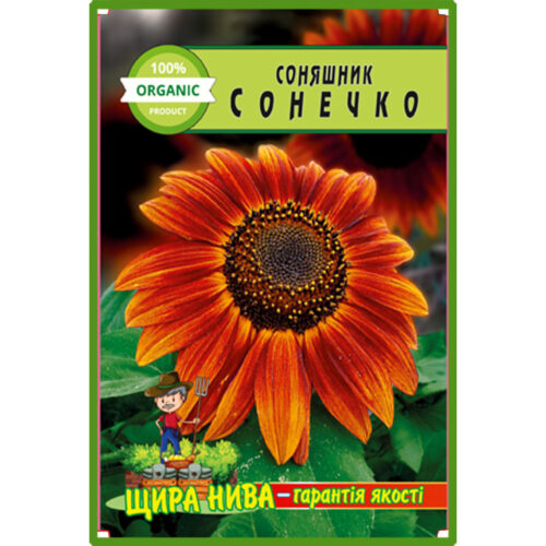 соняшник-сонечко-щира-нива