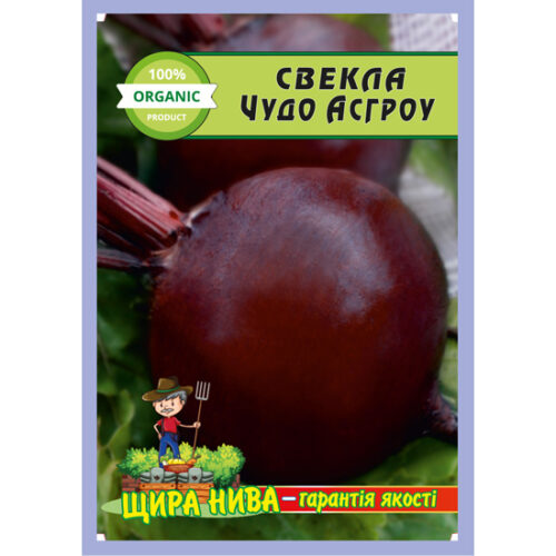 свекла-чудо-асгроу-20