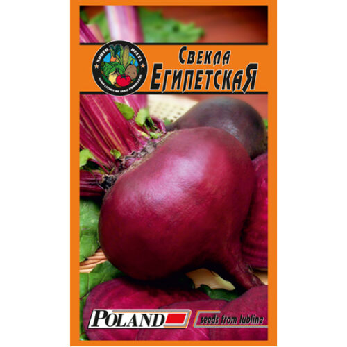 свекла-египетская