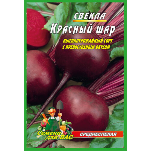 свекла-красный-шар-10