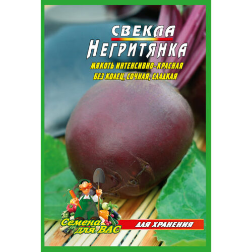 свекла-негритянка-10