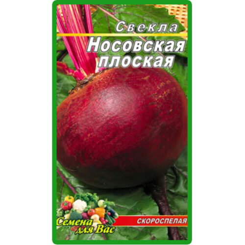 свекла-носовская-плоская10