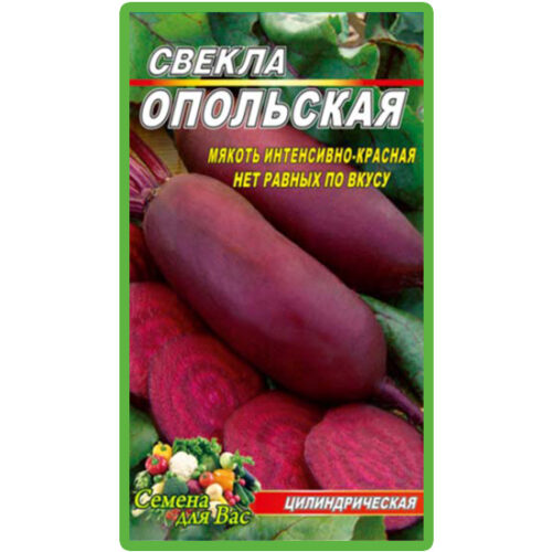 свекла-опольская-20