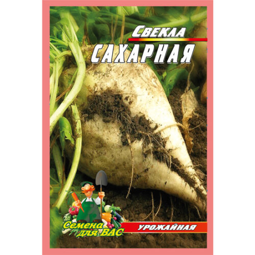 свекла-сахарная