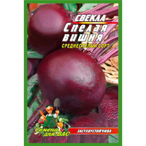 свекла-спелая-вишня