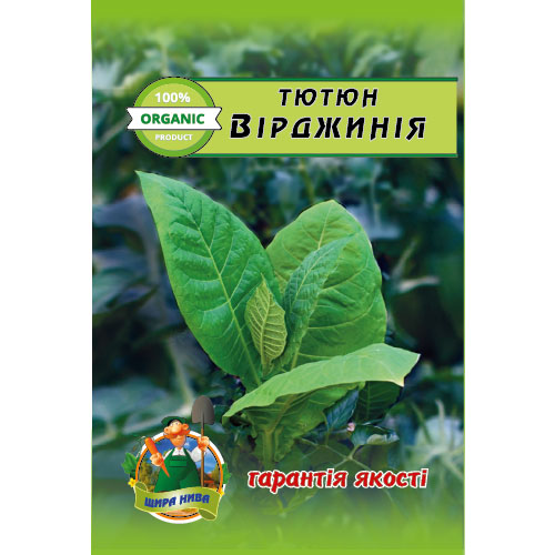 тютюн-верджинія-щира-нива