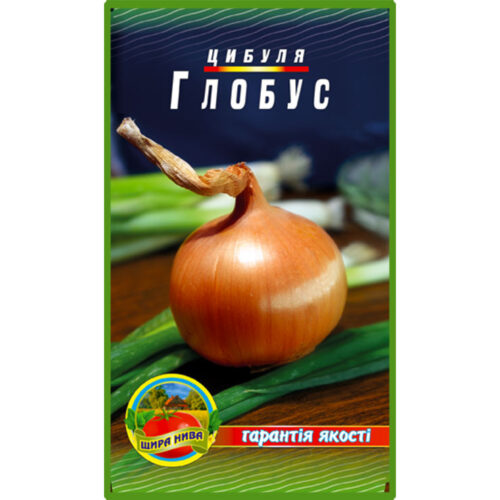 цибуля-глобус-щира-нива