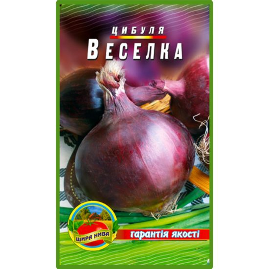 цибуля-веселка-щира-нива