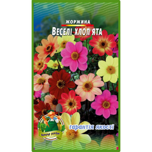 жоржина-веселі-хлопята-щира-нива